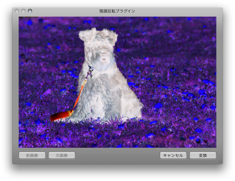 Sample-j.png